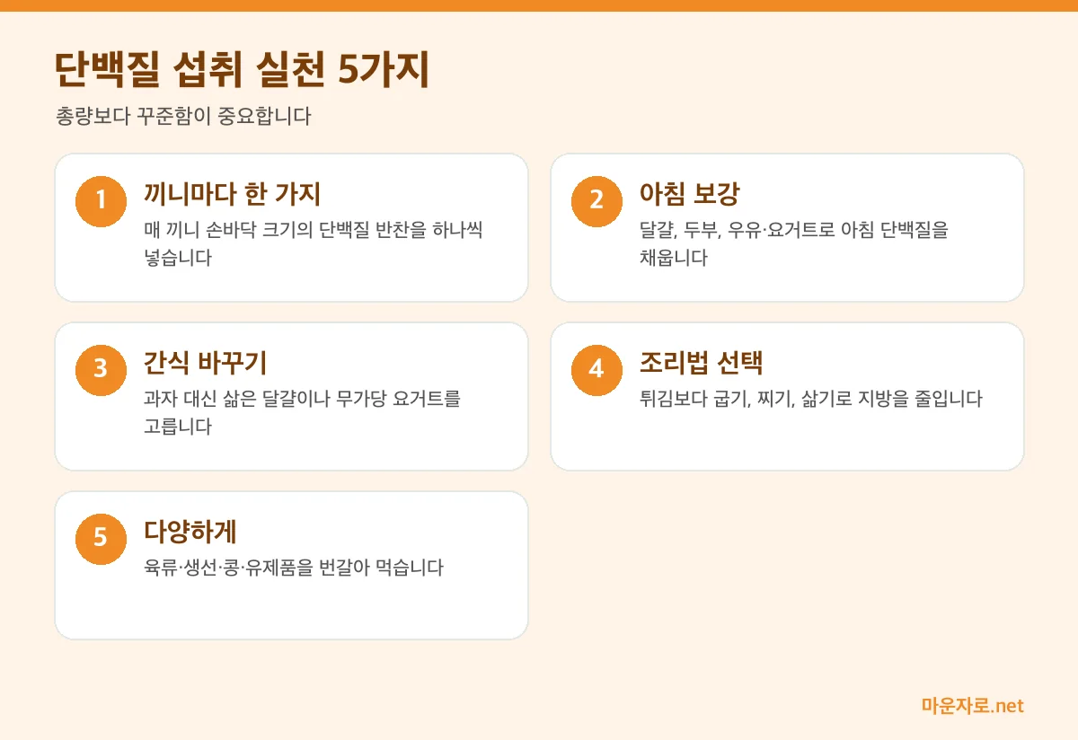 다이어트 중 단백질 섭취 실천 5가지 인포그래픽