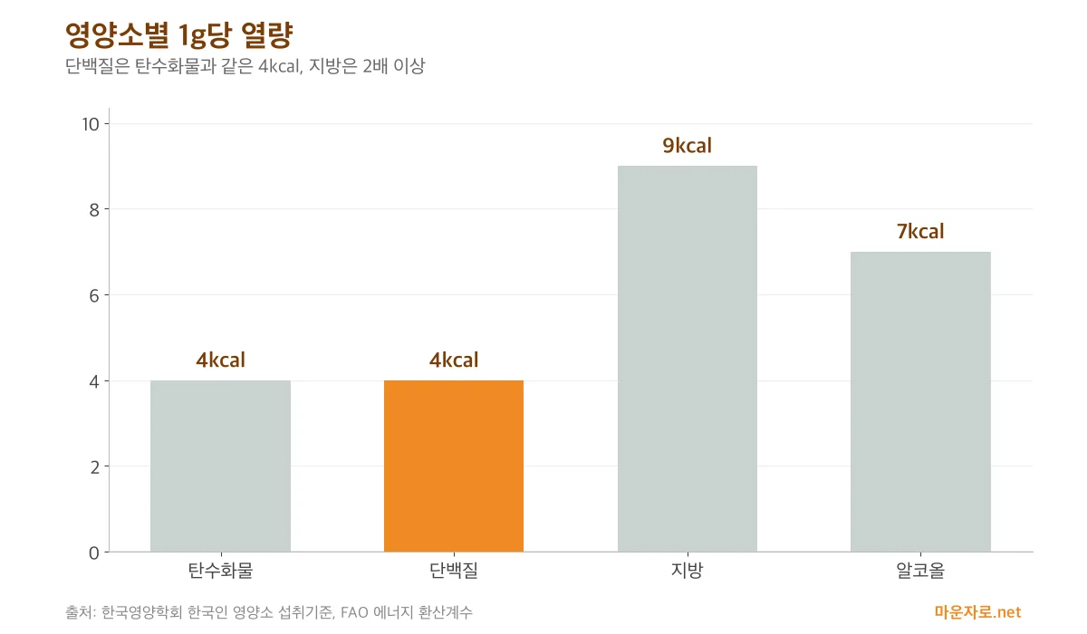 탄수화물 4kcal, 단백질 4kcal, 지방 9kcal, 알코올 7kcal를 비교한 막대그래프
