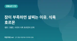 Read more about the article 잠이 부족하면 살이 찌는 이유: 수면과 식욕 호르몬