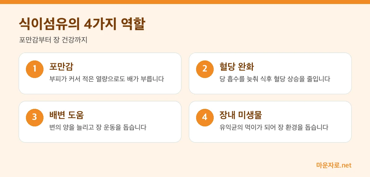 식이섬유의 포만감, 혈당 완화, 배변, 장내 미생물에 대한 역할을 정리한 인포그래픽