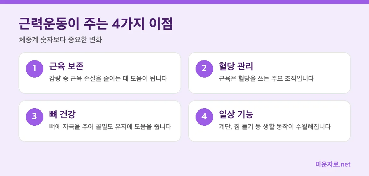 근력운동의 이점 네 가지(근육 보존, 혈당 관리, 뼈 건강, 일상 기능) 인포그래픽
