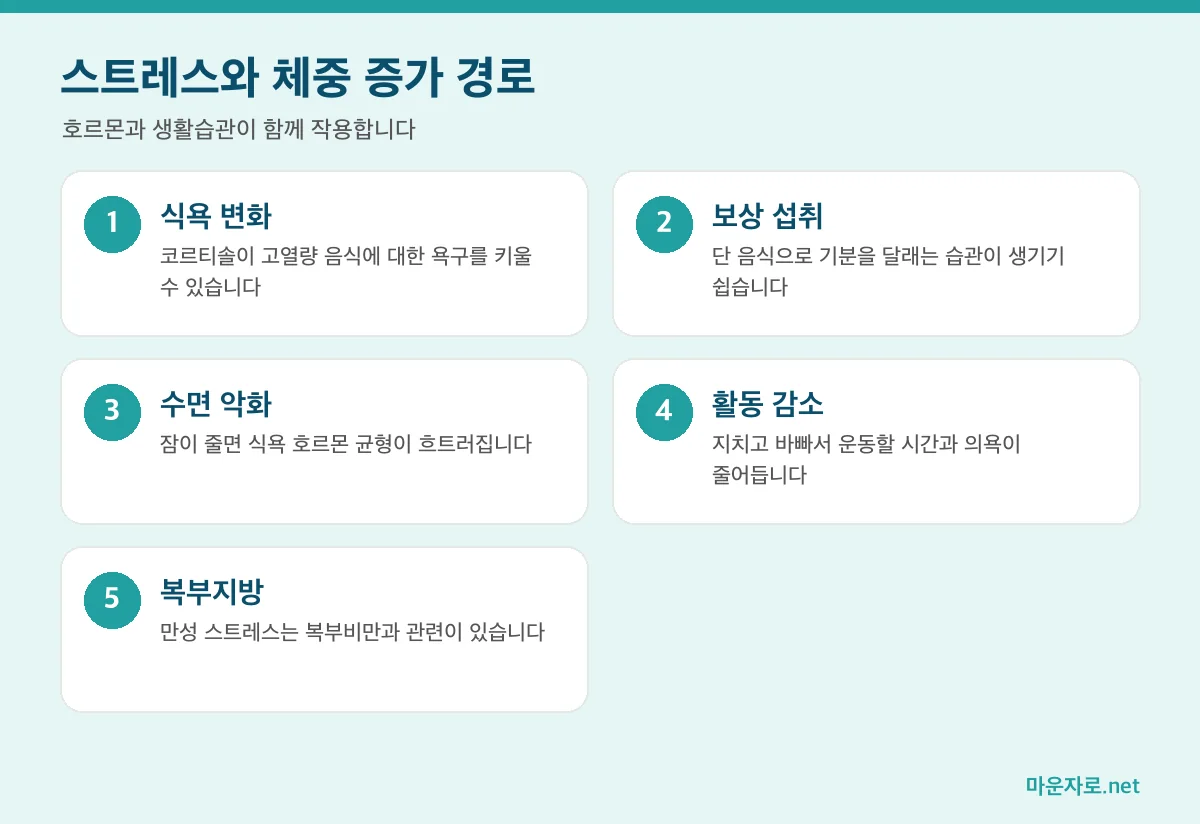 스트레스가 식욕 변화, 보상 섭취, 수면 악화, 활동 감소, 복부지방을 통해 체중에 영향을 주는 경로 인포그래픽