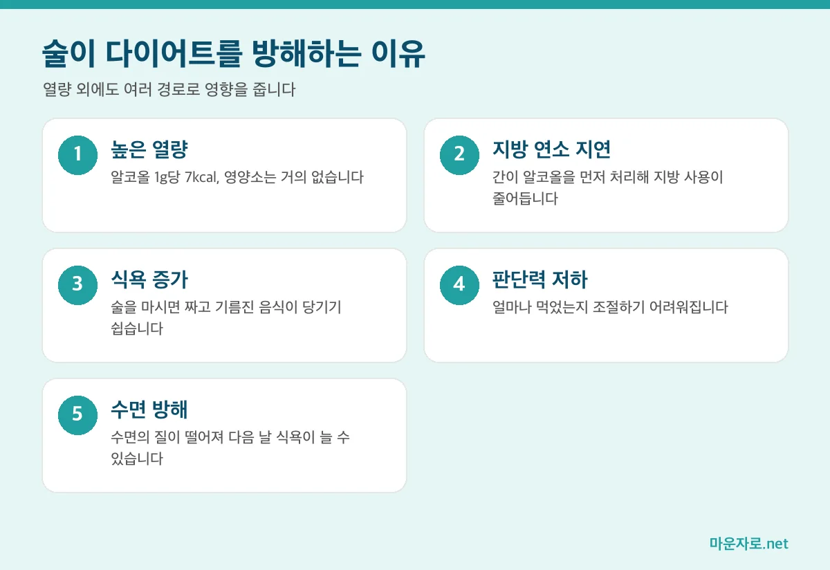 술이 다이어트를 방해하는 다섯 가지 이유 인포그래픽