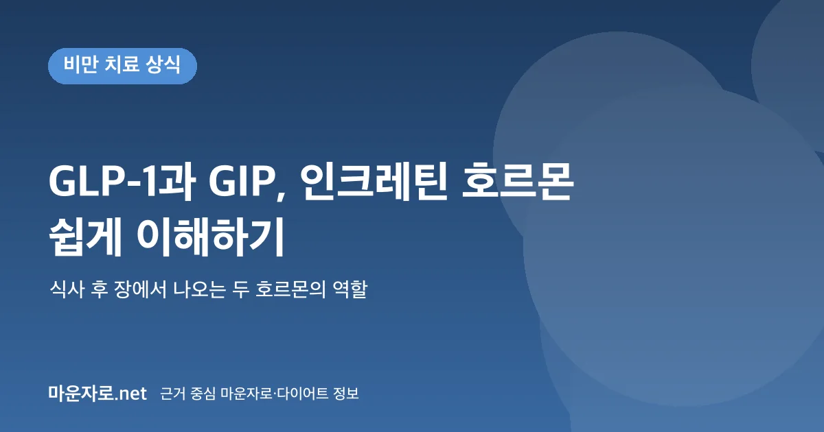 You are currently viewing GLP-1과 GIP란? 인크레틴 호르몬을 쉽게 이해하기